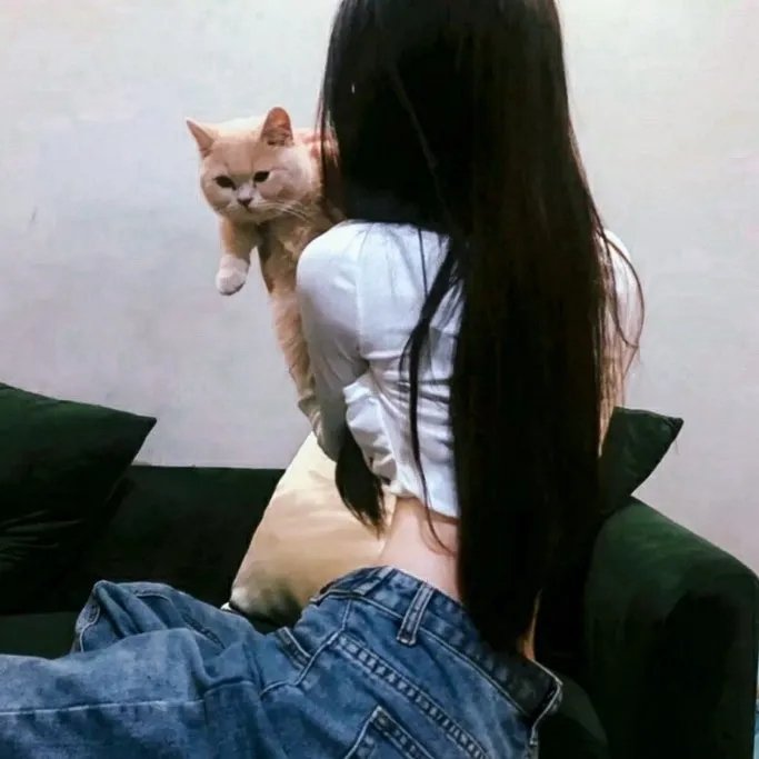 龙虎风云粤语